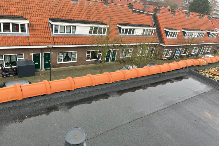 Nokvorsten renovatie