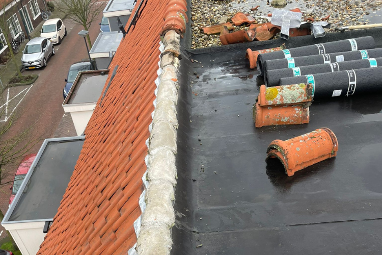 Nokvorsten renovatie